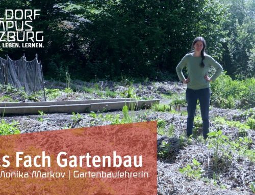 Gartenbau am Waldorf Campus Salzburg